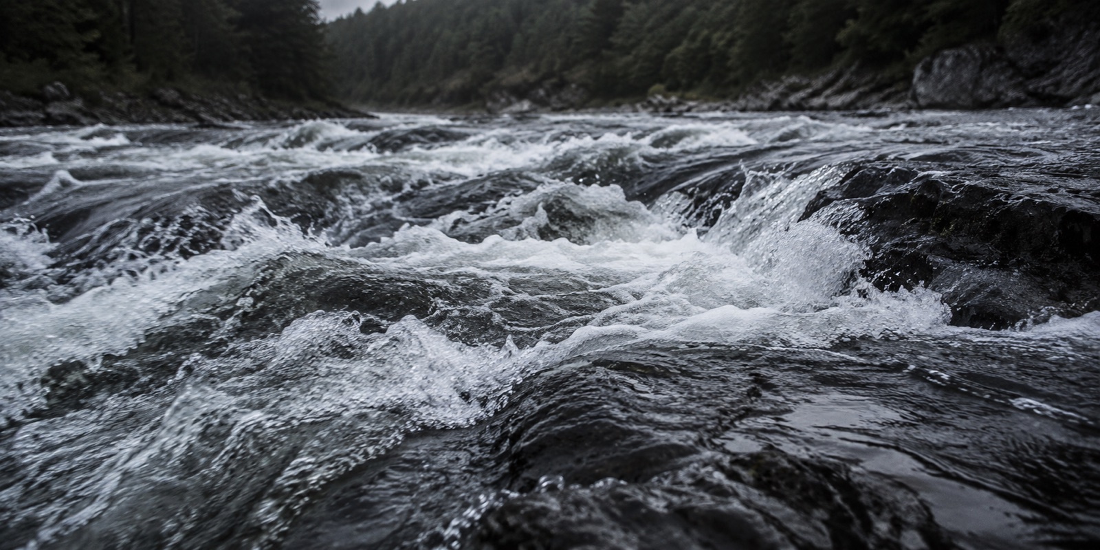 Whitewater rapids over dark rocks, viewed low and close to the water’s surface under an overcast sky